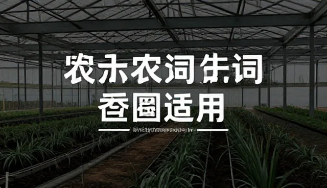 prompt交易测评:两种做法的实际取舍
