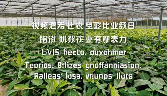 卖提示词视频如何影响结果的原因分析